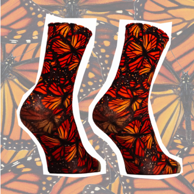 Sock My Autumn Butterfly 