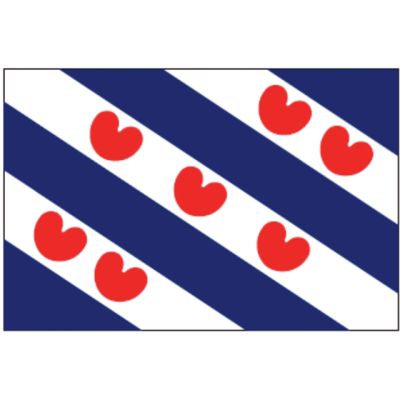 Friese vlag multi