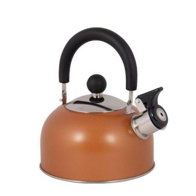 BoCamp fluitketel Rhoda